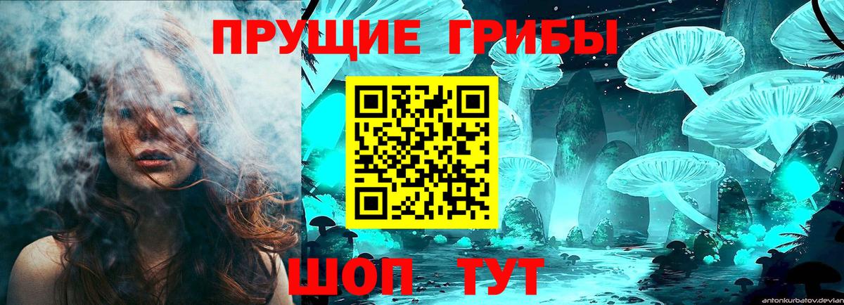 Псилоцибиновые грибы GOLDEN TEACHER  Вход с VPN  Добрянка 