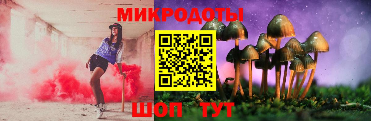Псилоцибиновые грибы мицелий Добрянка